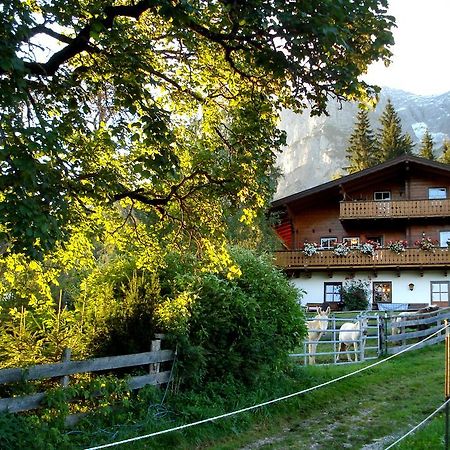 Haus Berghild Διαμέρισμα Ramsau am Dachstein Εξωτερικό φωτογραφία