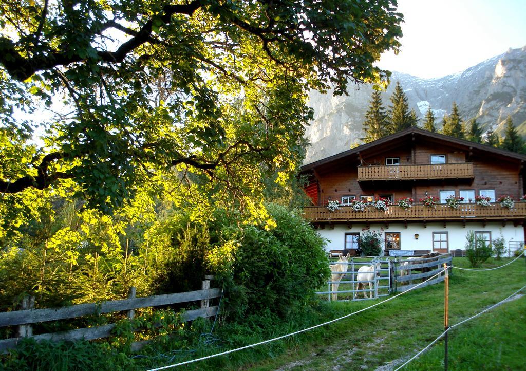 Haus Berghild Διαμέρισμα Ramsau am Dachstein Εξωτερικό φωτογραφία