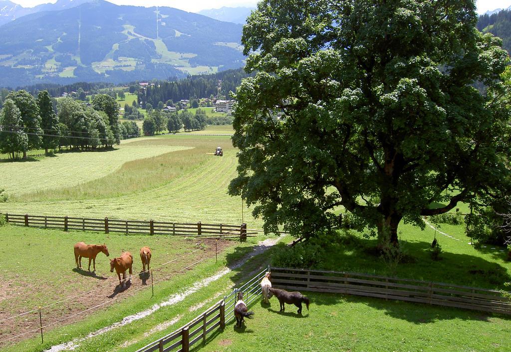 Haus Berghild Διαμέρισμα Ramsau am Dachstein Εξωτερικό φωτογραφία